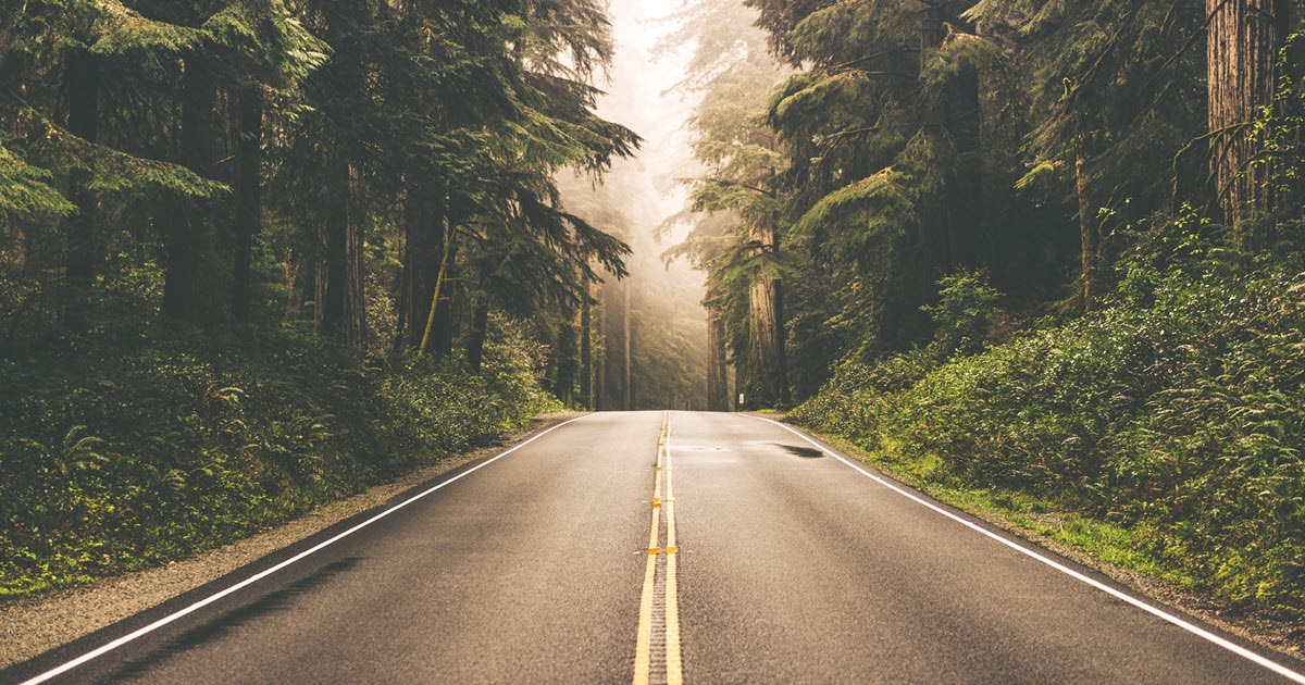 Looking down an empty road