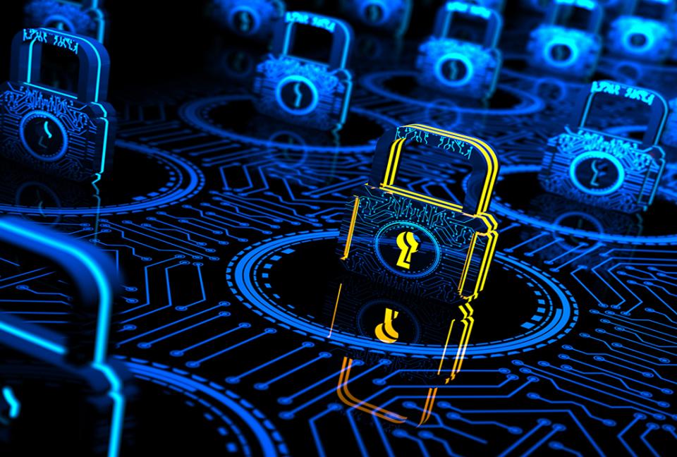 Steps You Can Take to Protect Yourself Against Financial Criminals