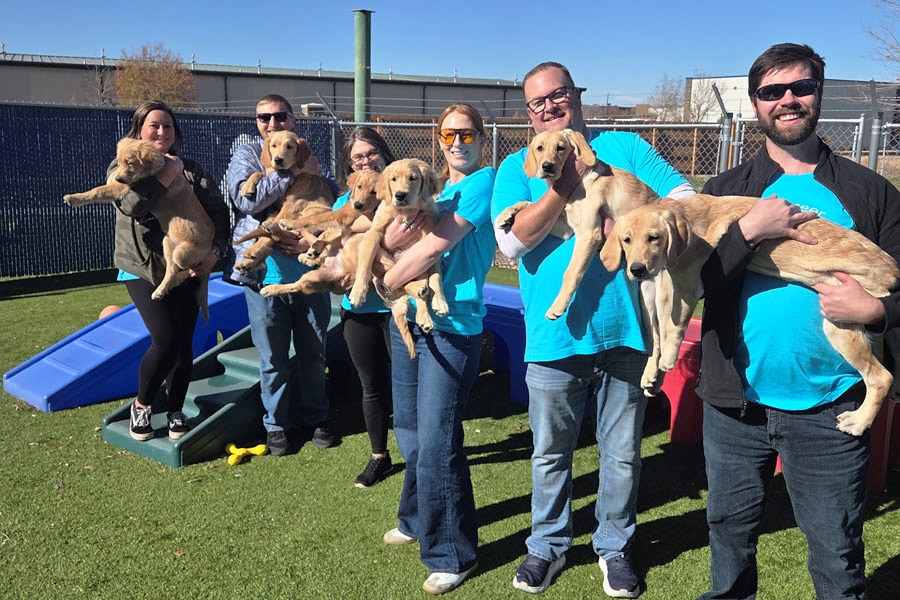 A group of volunteers holding puppies.